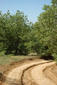 Красна Зоря з panoramio.com