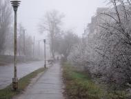 Червоний Донець з panoramio.com - Червоный Донец