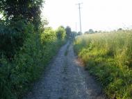 Тишківці з panoramio.com