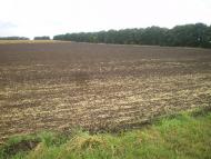 Хрещате з panoramio.com