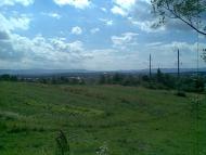 Раневичі з panoramio.com