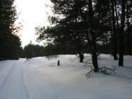 Підлісне з panoramio.com - Pidlisne