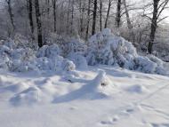 Майданецьке з panoramio.com - Maydanetske
