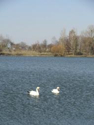 Перковичі з panoramio.com