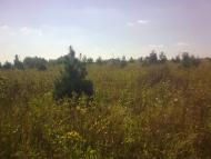 Варівці з panoramio.com