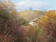 Сиротенки з panoramio.com