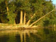 Гороховатка з panoramio.com