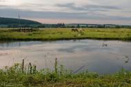 Лошнів з panoramio.com