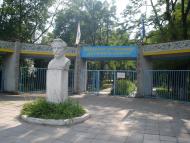 Курортне з panoramio.com