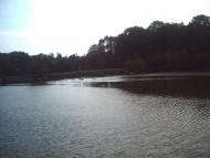 Турчинці - Останні фото