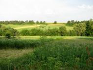 Вербівка з panoramio.com