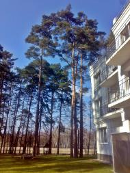Ворзель з panoramio.com - Ворзель