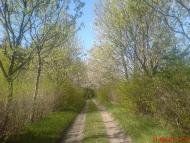 Вишнів з panoramio.com