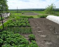 Юрківка з panoramio.com