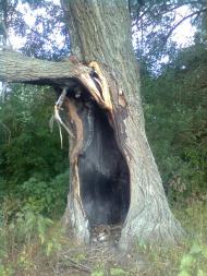 Руднєве з panoramio.com