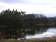 Хащеве з panoramio.com