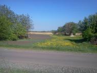 Машівка з panoramio.com