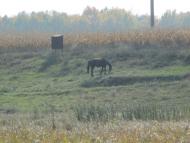 Лаврики з panoramio.com