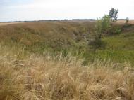 Хрещате з panoramio.com