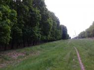 Шепелівка з panoramio.com