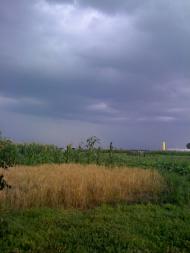 Шепелівка з panoramio.com