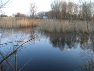 Сираї з panoramio.com