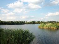 Смородине з panoramio.com