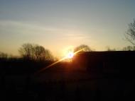 Комарове з panoramio.com