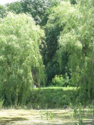 Кут з panoramio.com