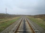 Вільхівчик з panoramio.com