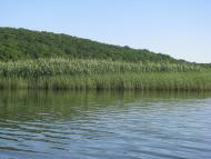 Вільшанське з panoramio.com