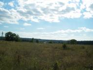 Синичине з panoramio.com