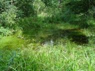 Скулин з panoramio.com