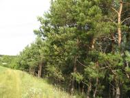 Малий Вистороп з panoramio.com