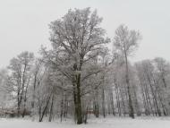 Плавинище з panoramio.com