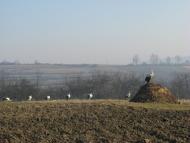 Суходіл з panoramio.com