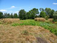 Гончарівка з panoramio.com