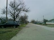 Ботанічне з panoramio.com