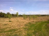 Собичеве з panoramio.com