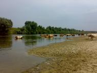 Обмачів з panoramio.com