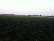 Рівнинне з panoramio.com