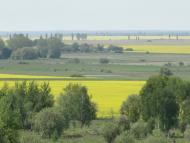 Веселе з panoramio.com