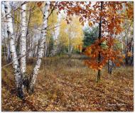 Пологи-Низ з panoramio.com