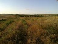 Красний Партизан з panoramio.com