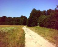 Радецька Болярка з panoramio.com