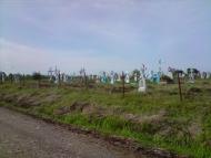 Конів з panoramio.com