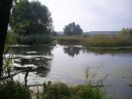 Бушеве з panoramio.com - Бушево