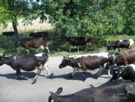 Якторів - Останні фото