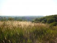 Нагірне з panoramio.com