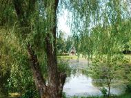 Довге з panoramio.com